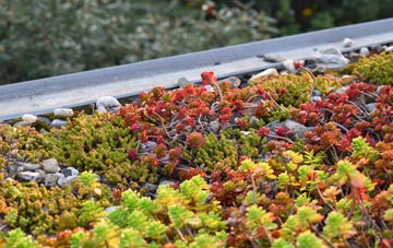 the cost of Chadsmoor green roof installation
